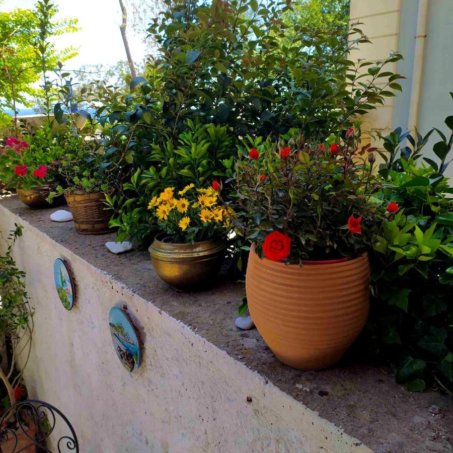 Casa Di Rosi, Seaview Studio In Corfu Town ภายนอก รูปภาพ